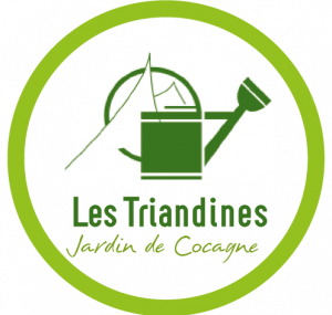 Les Triandines