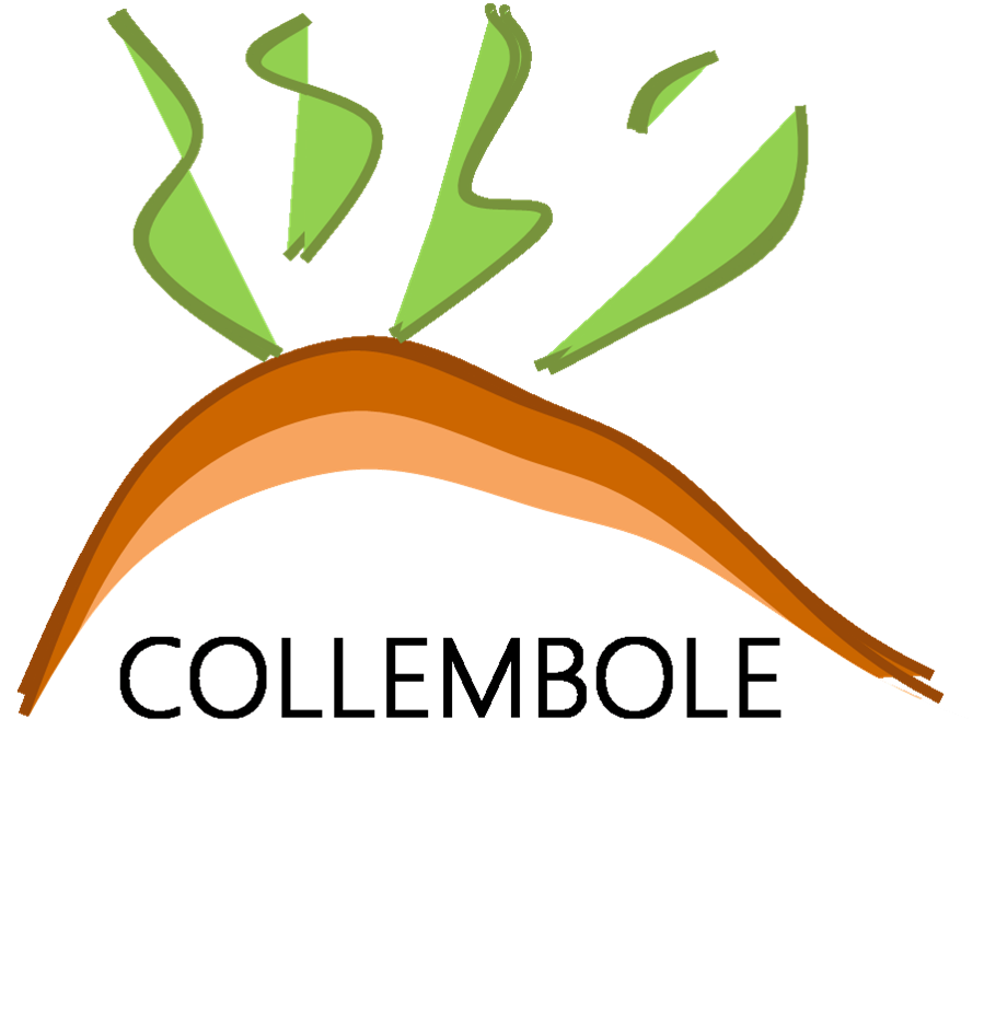 COLLEMBOLE