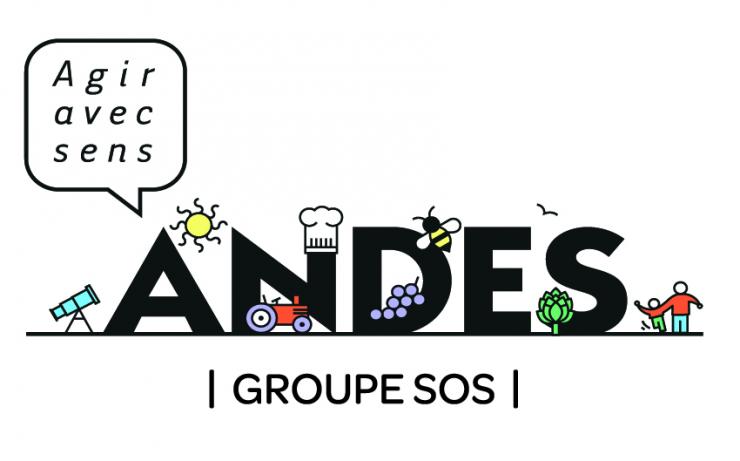 Logo ANDES 