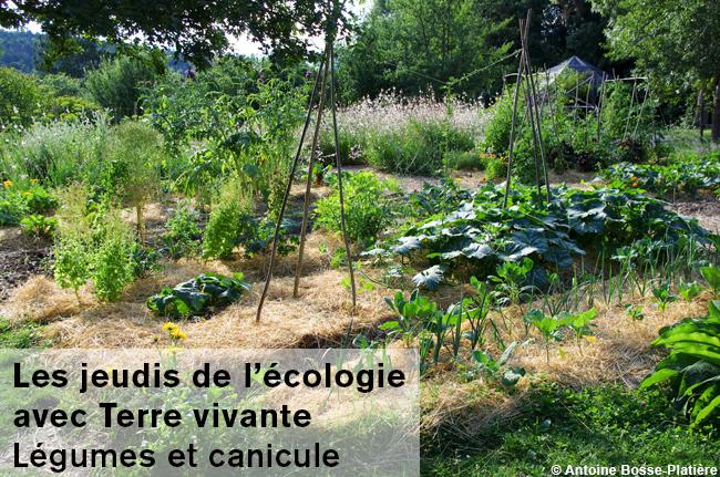 Conférence Terre vivante "Légumes et canicule" - Grenoble (38)