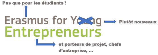 Erasmus Entrepreneurs: mobilité pour les entrepreneurs - en distanciel