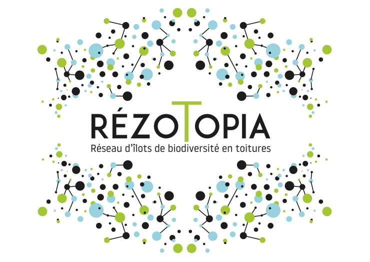 Rezotopia 