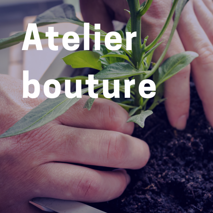 atelier bouture 