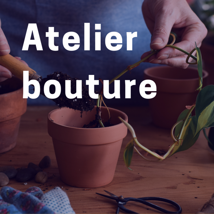 atelier bouture 