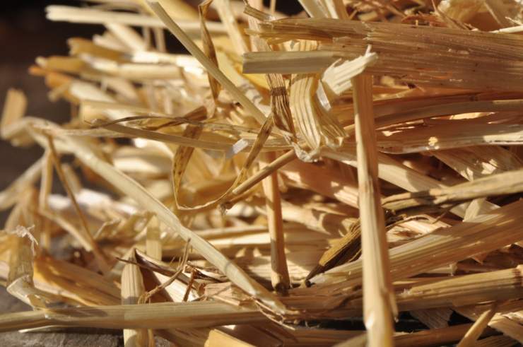 Formation Propaille (proche Lyon) Formation Propaille (proche Lyon)