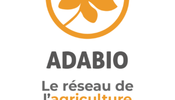 Ateliers de pratique – Panthère Première / Le Pacifique