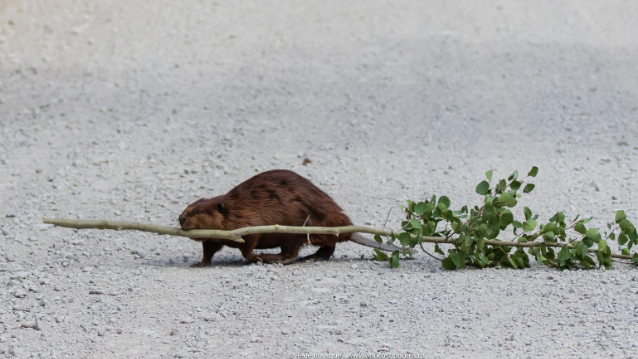 Tiers-lieux : appel à manifestation d’intérêt pour créer 300 « Fabriques de territoire »