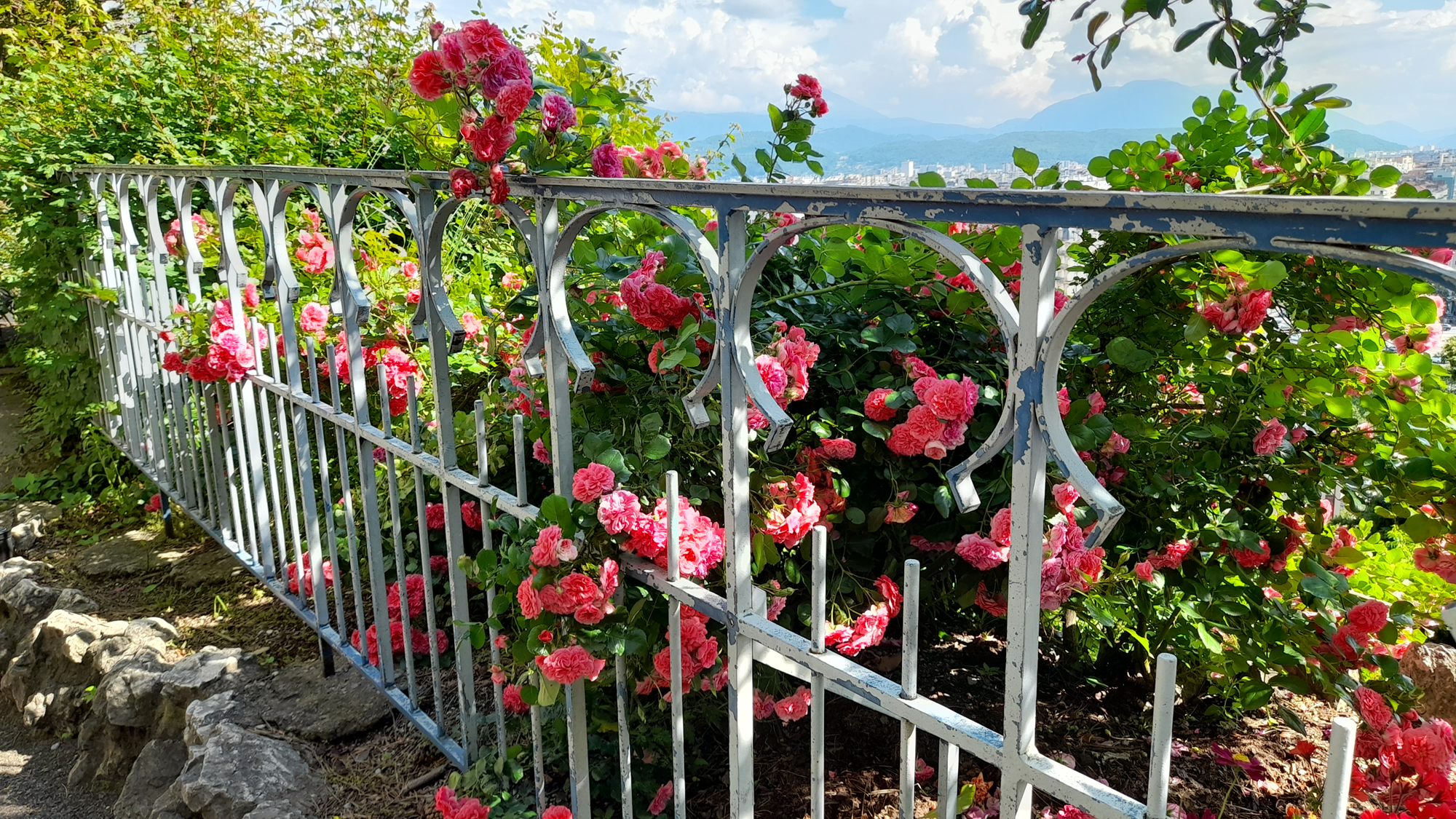 Festival des Sauvages #4 : Balades et ateliers botaniques au cœur de Grenoble