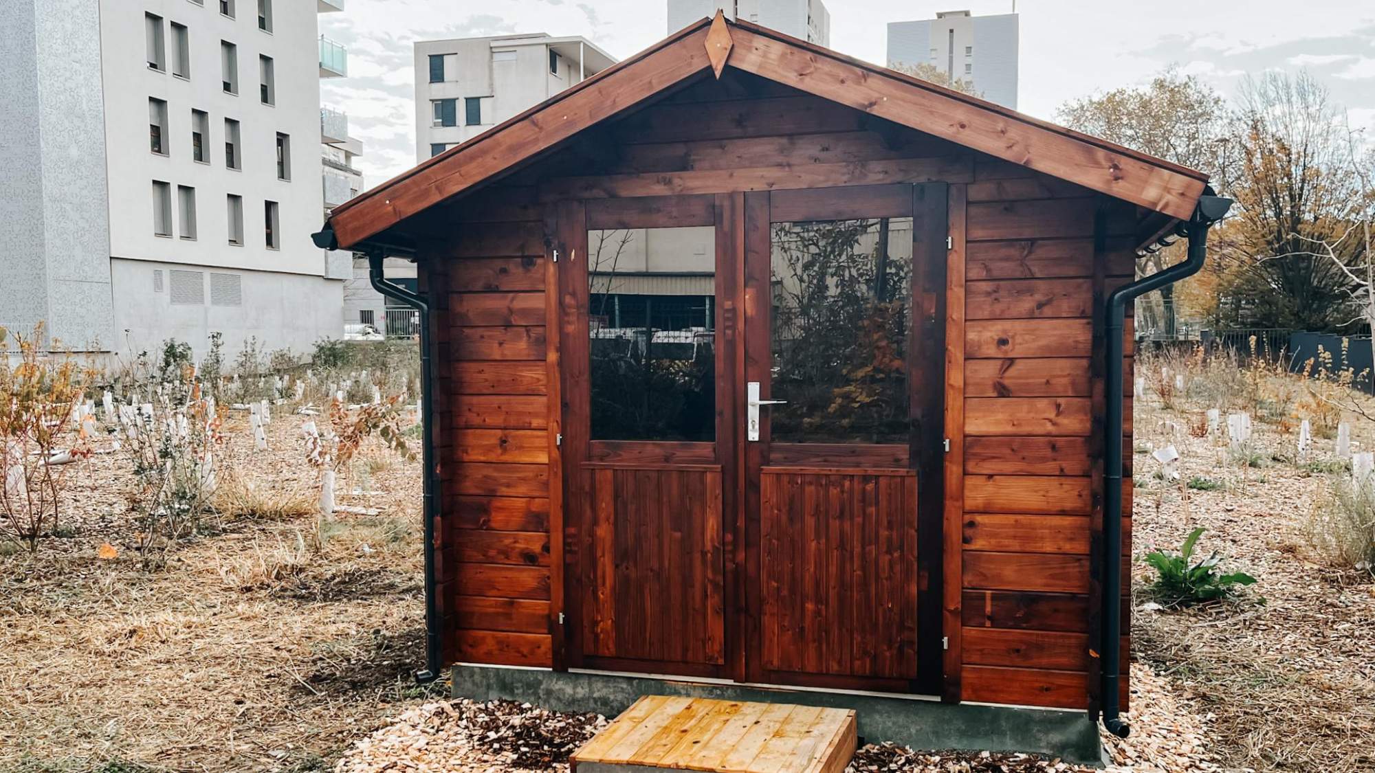 Des Chatipis pour lutter contre l’errance féline à Grenoble