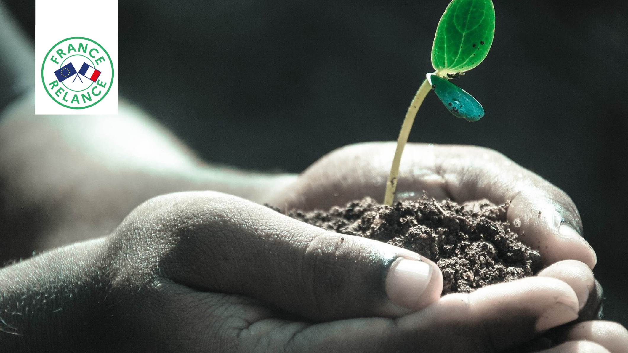 Des appels à projets au bénéfice de l’économie sociale et solidaire