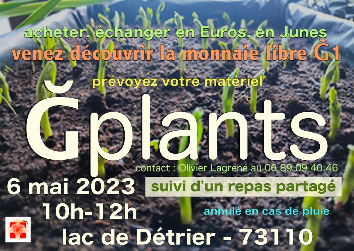 73-Ğplants au lac de Détrier