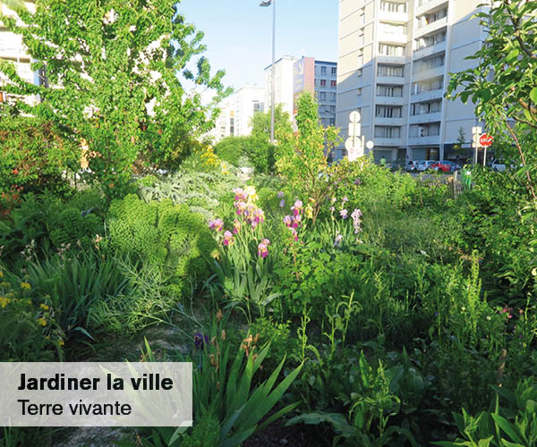 Jardiner la Ville – Conférence Terre vivante au Muséum d’histoire naturelle de Grenoble