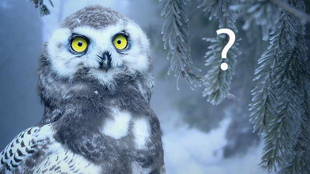 L’ESS, derrière les chiffres