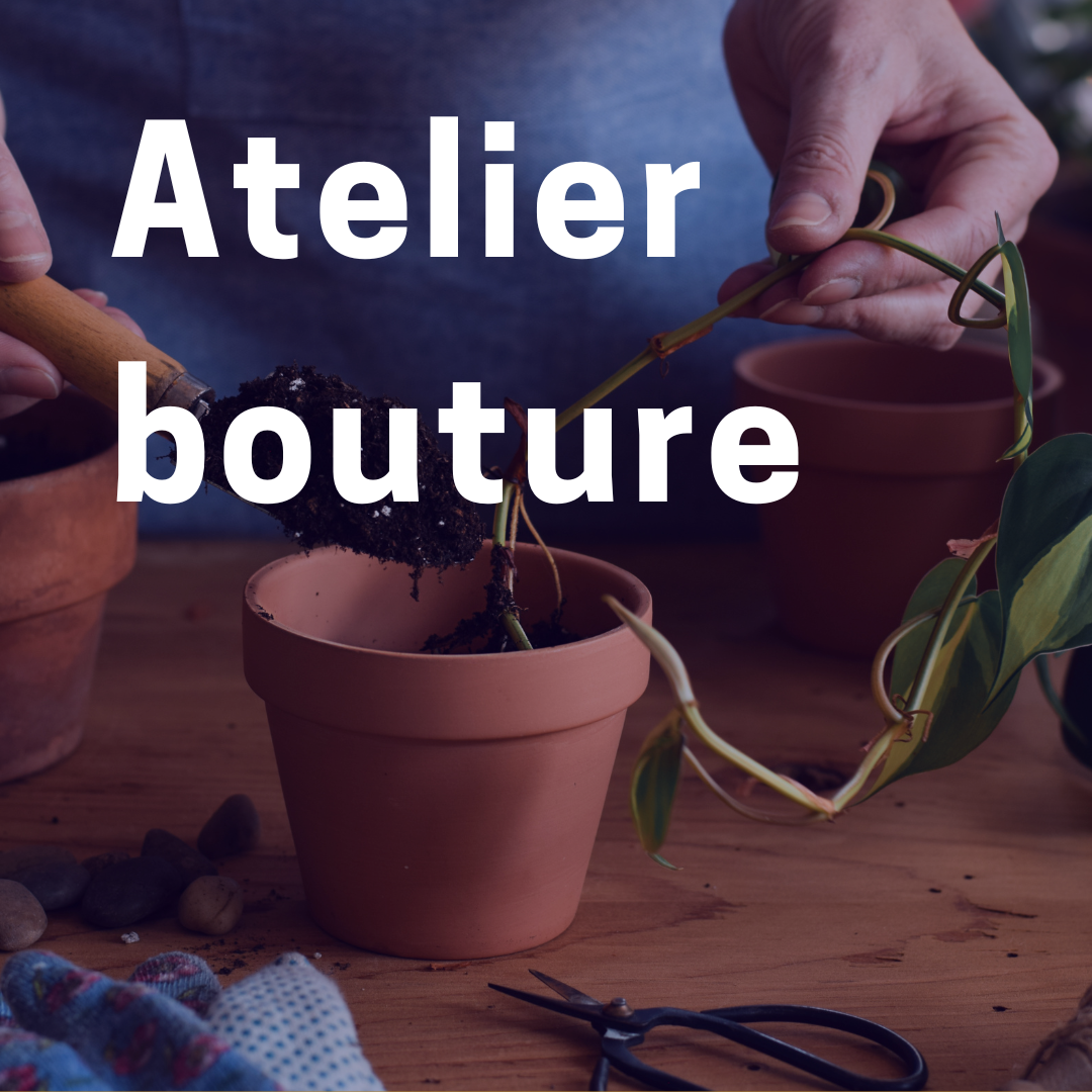 Atelier Bouture