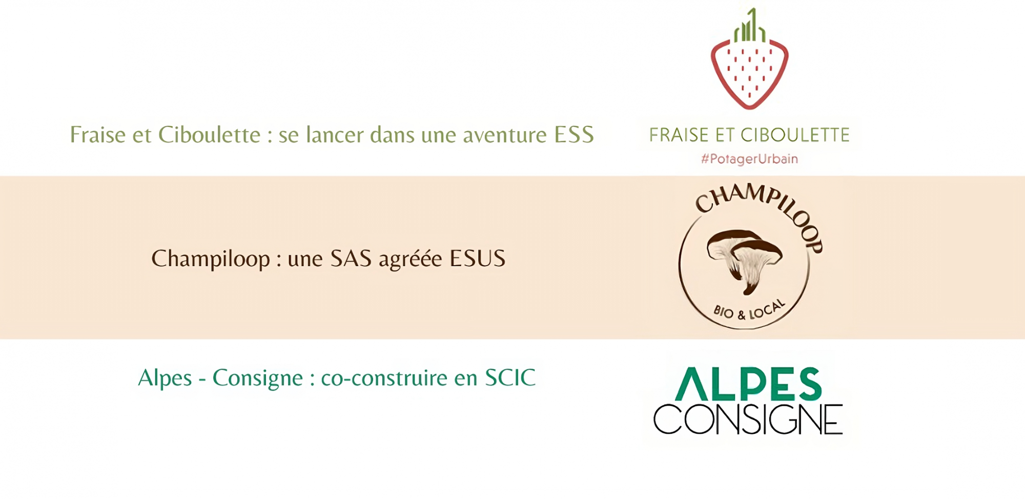 Pourquoi l’ESS : le parcours de 3 structures locales vers l’affirmation de leurs valeurs