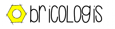 Bricologis