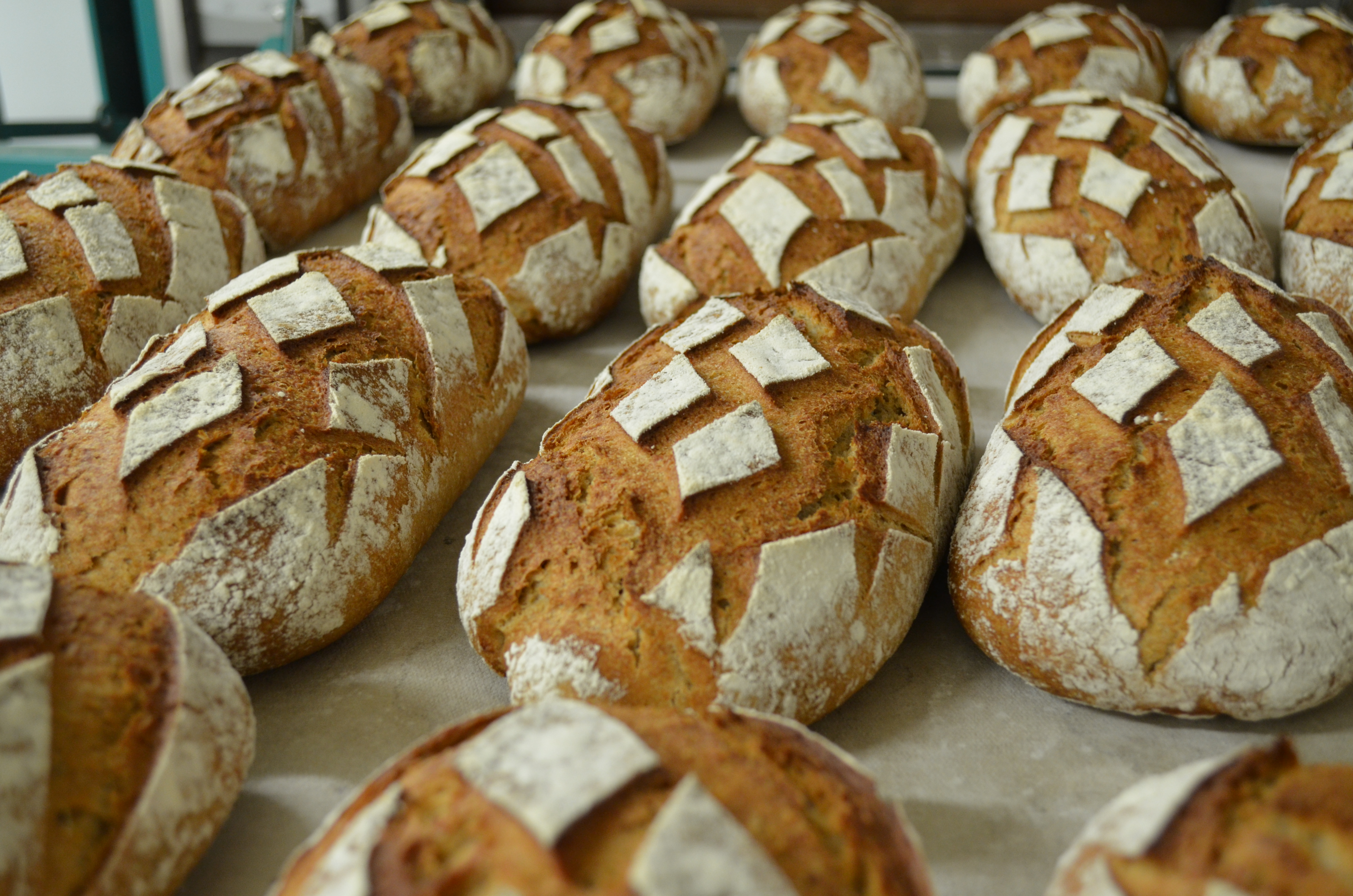 Les Fournils des Lacs : du blé au pain