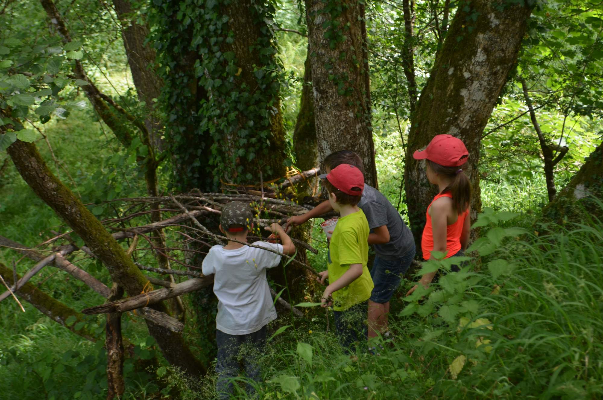 Zoom sur l&rsquo;école du dehors