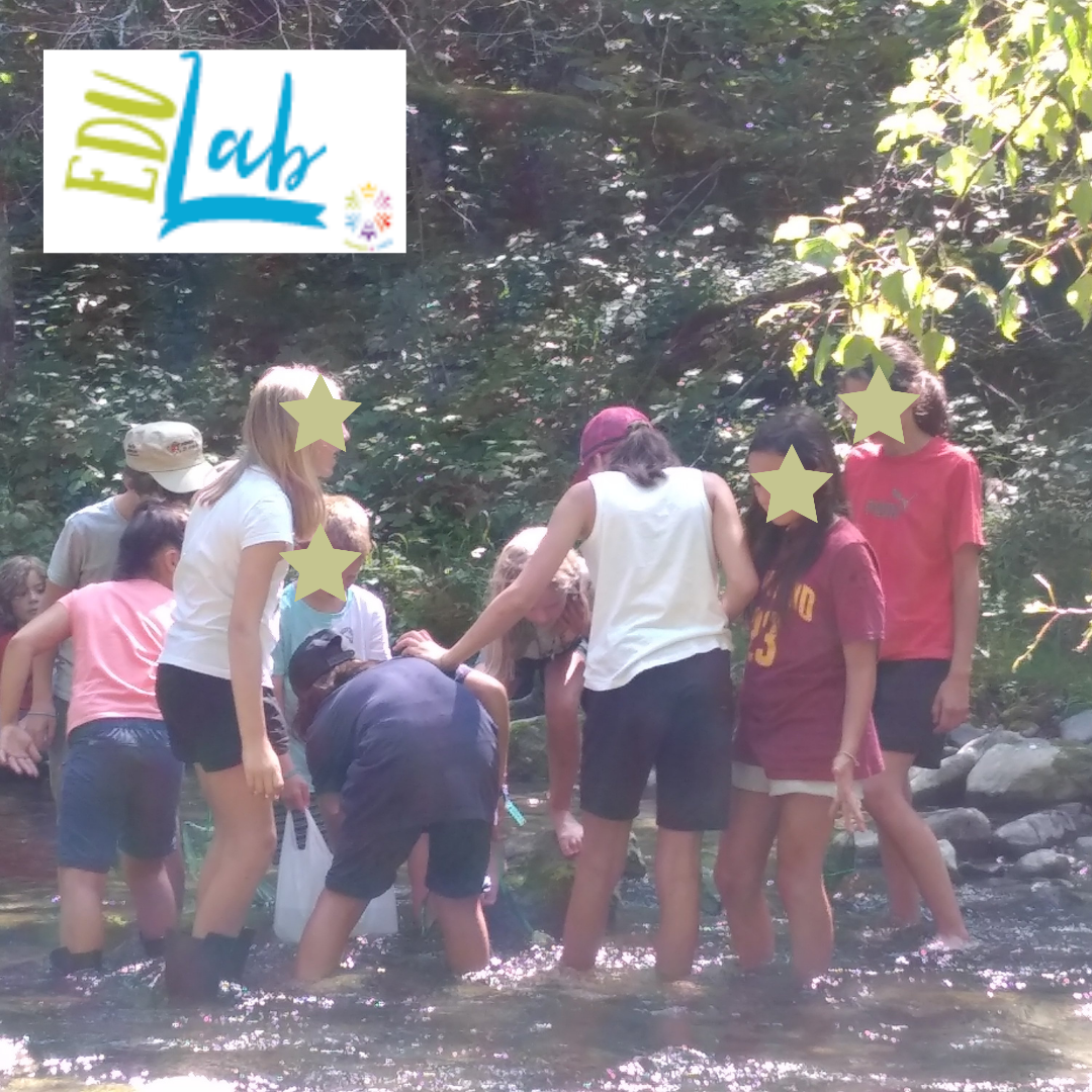 Stage EDULab – Annecy (74) Stage EDULab – Annecy (74)