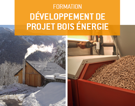 Formation pour le développement de projet bois énergie