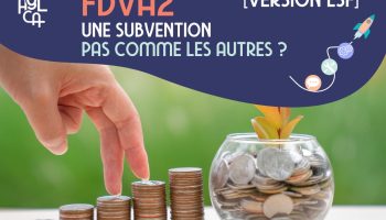 Formations bénévole : FDVA2 – une subvention pas comme les autres ? Version LSF Formations bénévole : FDVA2 – une subvention pas comme les autres ? Version LSF