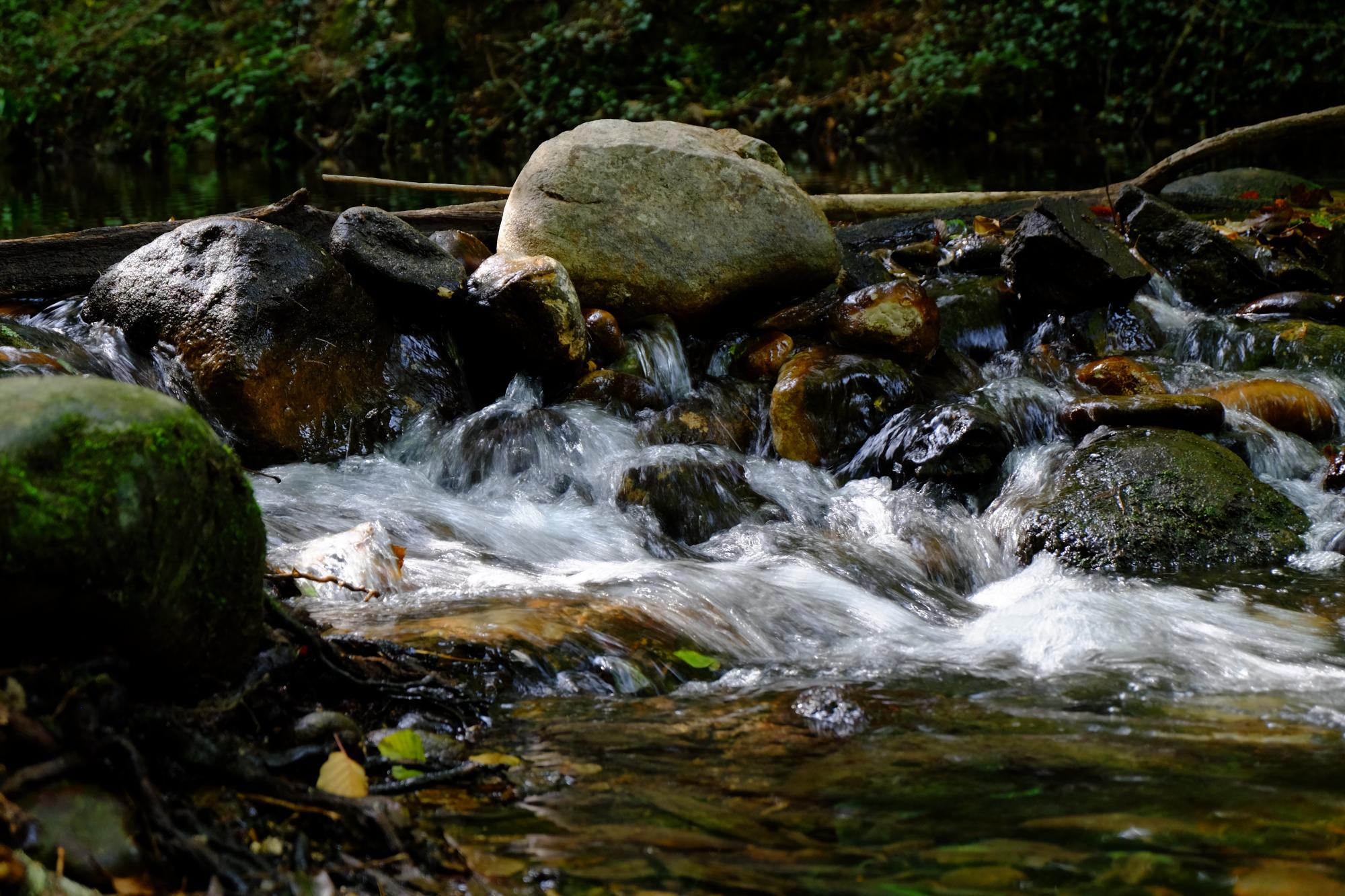 Fée Électricité et autonomie régionale : l&rsquo;hydroélectricité !