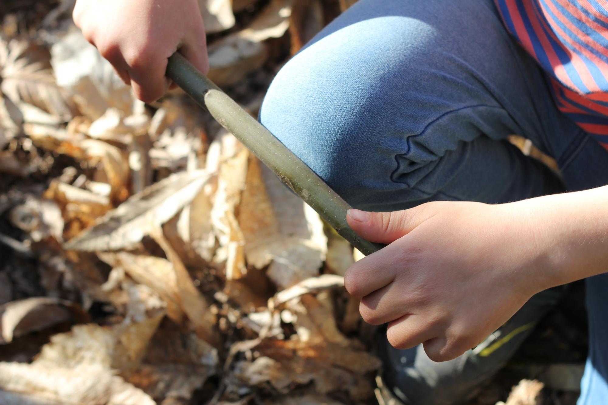 Ateliers de connexion à la nature pour enfants et en famille – Saint-Martin-en-Haut (69) Ateliers de connexion à la nature pour enfants et en famille – Saint-Martin-en-Haut (69)