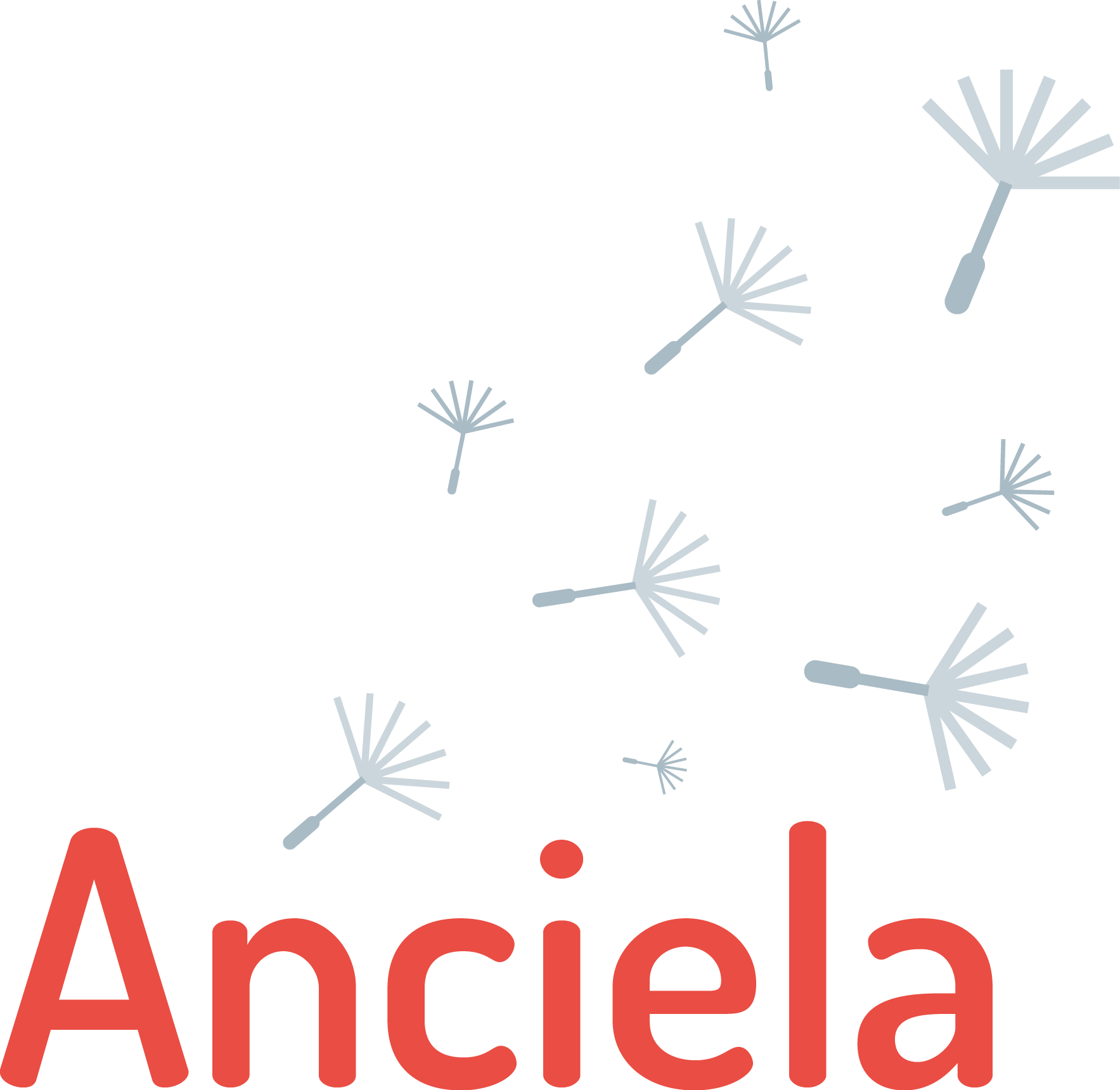 Accompagnez des personnes et des initiatives pour faire grandir la transition écologique et solidaire avec Anciela – Service civique – H/F – Lyon 7e – Auvergne-Rhône-Alpes
