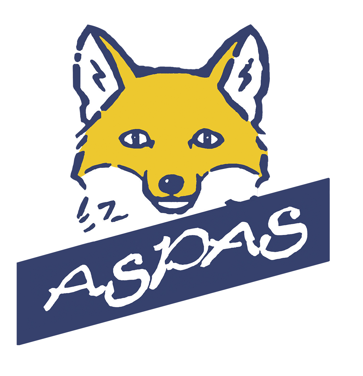 COORDINATEUR / COORDINATRICE GÉNÉRAL ( E)