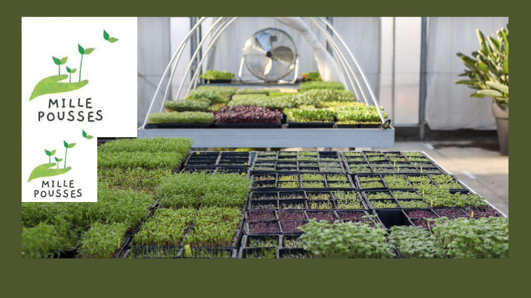 MillePousses appelle à bénévoles pour le montage de sa nouvelle serre  !