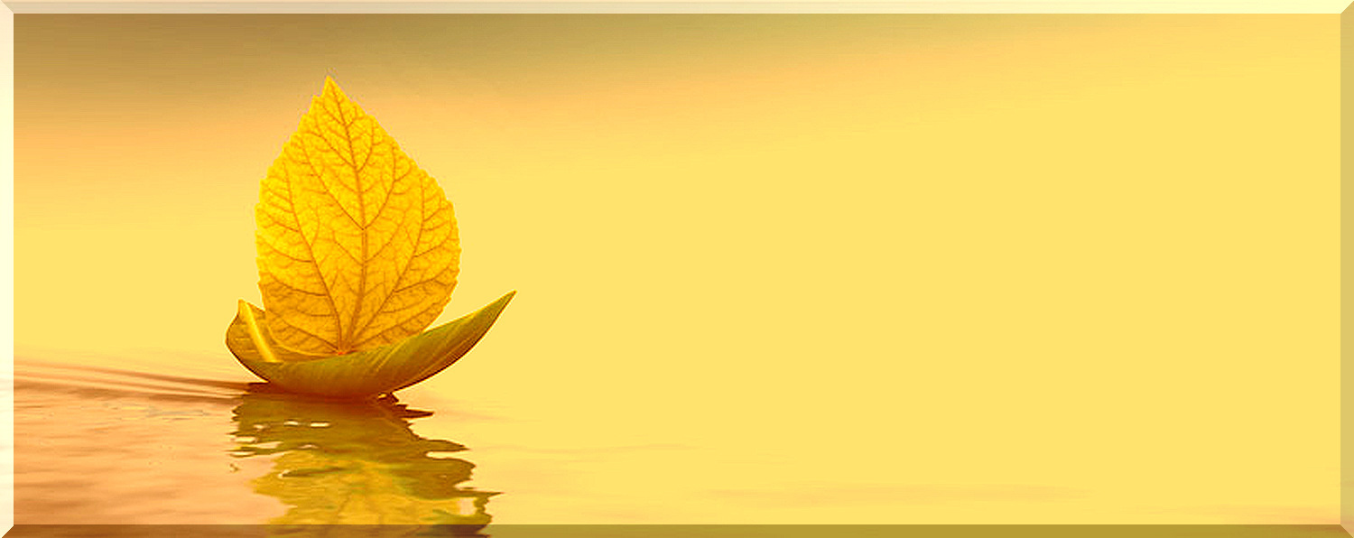 Une action de prévention atypique :  1001 ressources pour être mieux, vivre mieux