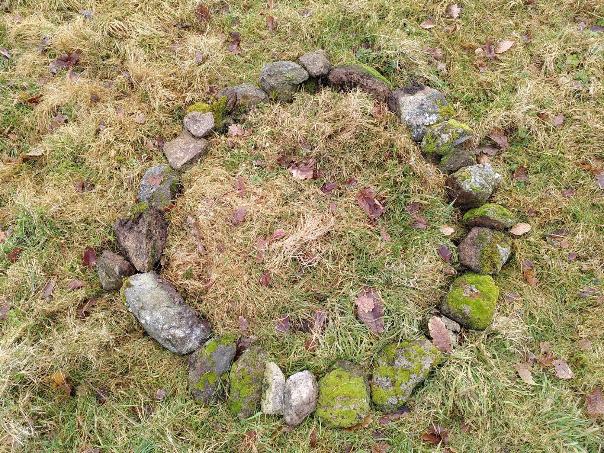 Chantiers participatifs pour ouverture d’école en forêt – Saint-Martin-en-Haut (69) Chantiers participatifs pour ouverture d’école en forêt – Saint-Martin-en-Haut (69)