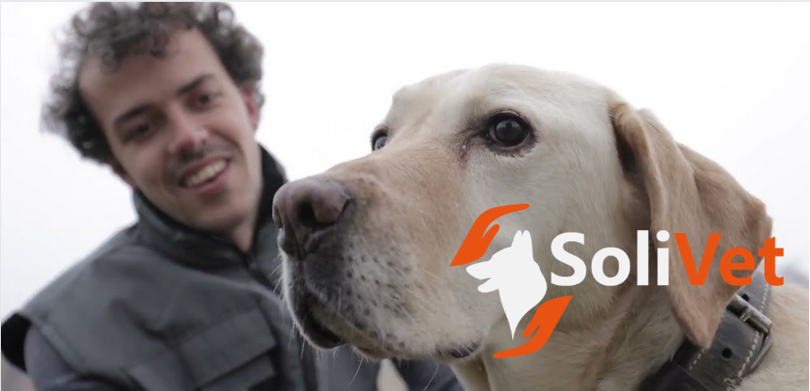 SoliVet : l’association vétérinaire pour les publics précaires SoliVet : l’association vétérinaire pour les publics précaires