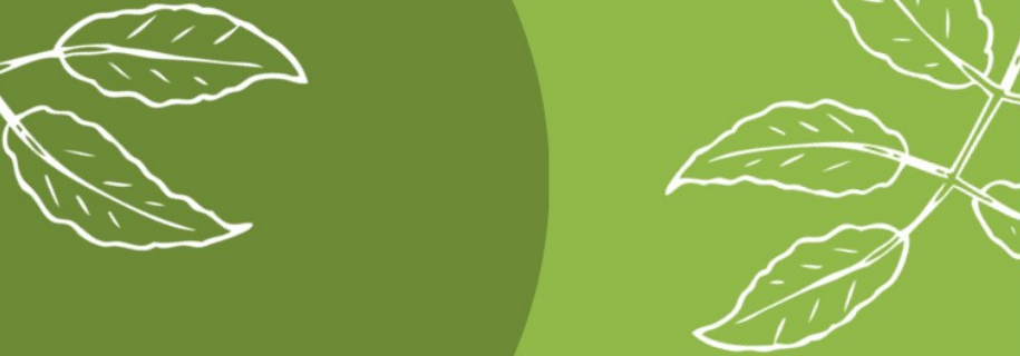 APPEL À PROJETS PLATEAU FERTILE – VILLE DE VÉNISSIEUX Volet citoyen : Espace ressources – Jardinage et Biodiversité