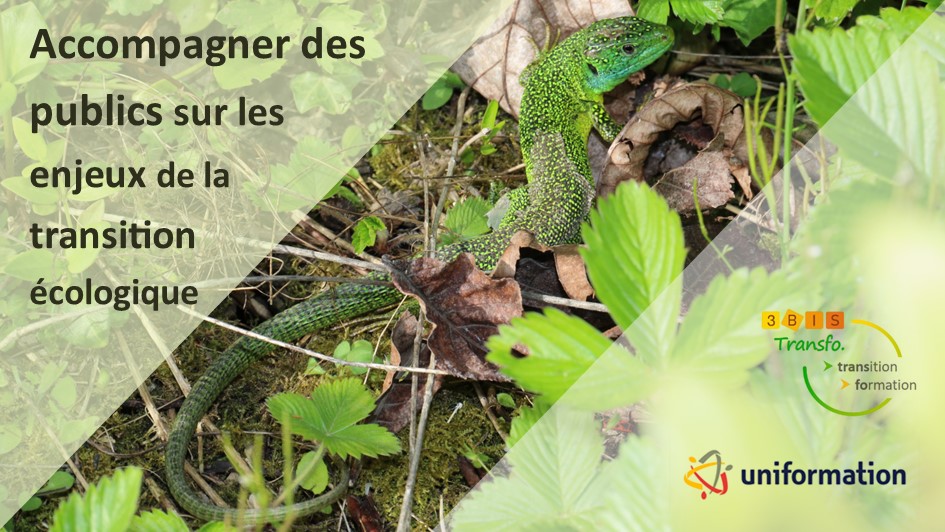 Formation Accompagner des publics sur les enjeux de la transition écologique