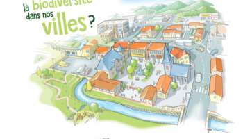 Animer autour de la biodiversité. Avec l’outil «Accueillir la biodiversité dans nos villes et jardins» Animer autour de la biodiversité. Avec l’outil «Accueillir la biodiversité dans nos villes et jardins»