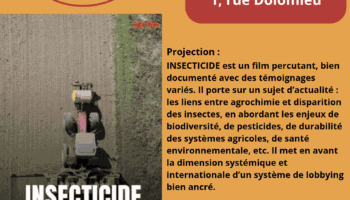 Projection-Débat : « Insecticide – comment l’agrochimie a tué les insectes » Projection-Débat : « Insecticide – comment l’agrochimie a tué les insectes »